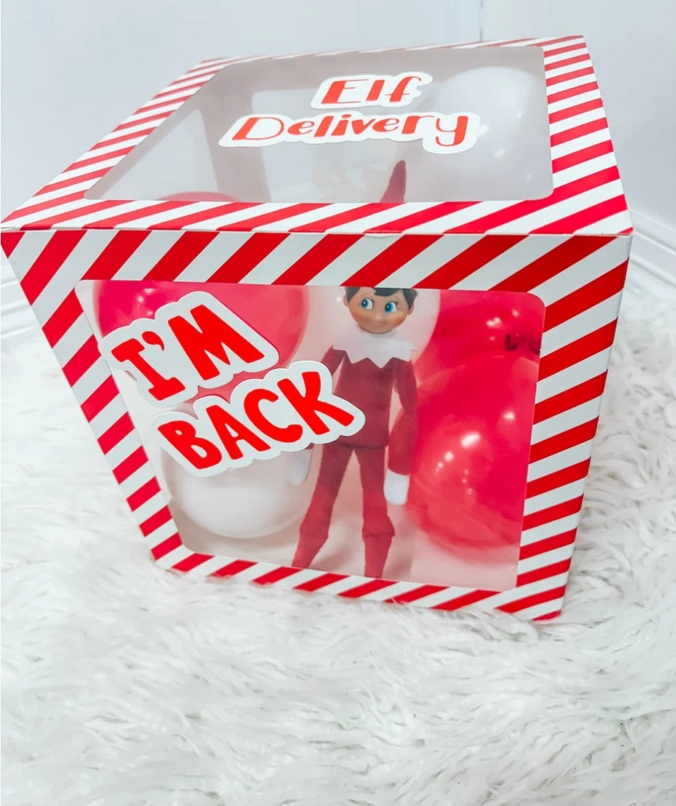 Elf delivery box