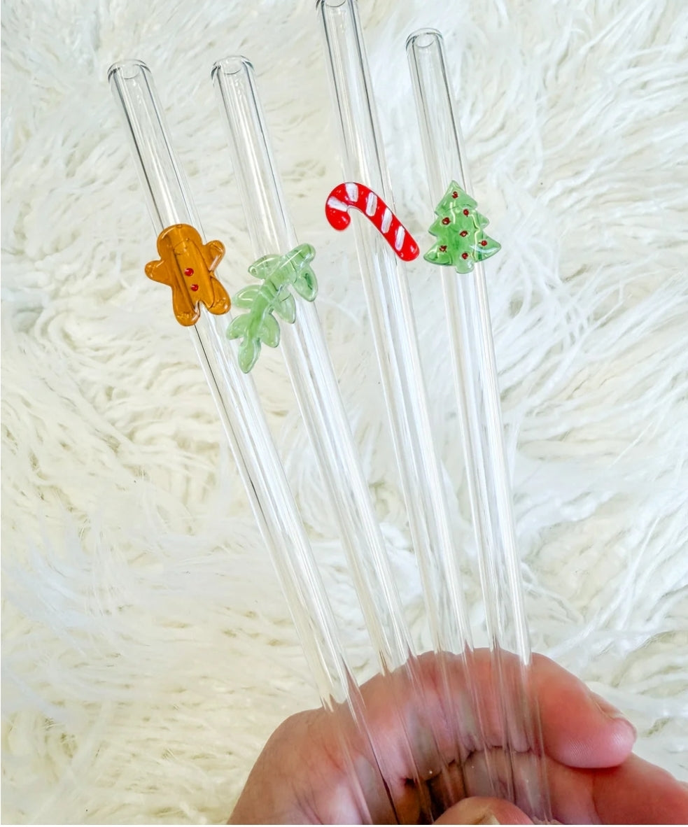 Glass Straw Set
